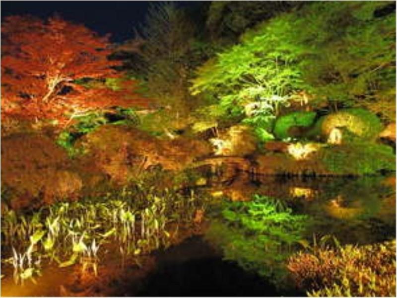 Ryumontei Chiba Ryokan 鹿角 外观 照片